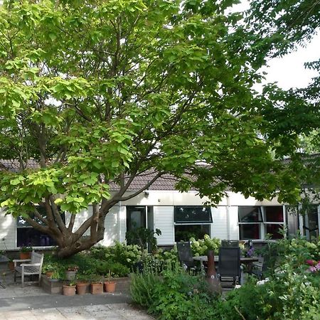 Huis Bij De Catalpa Dordrecht Kültér fotó