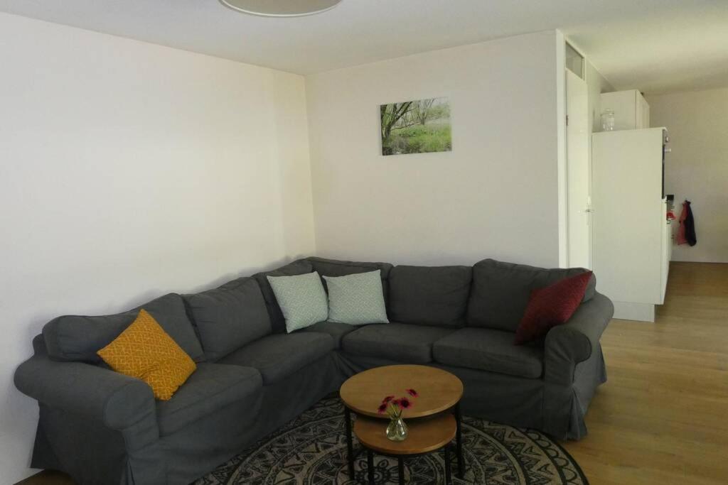 Huis Bij De Catalpa Dordrecht Kültér fotó