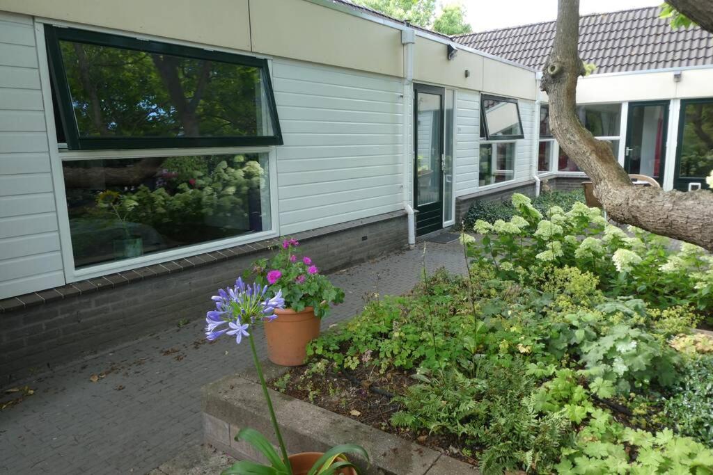 Huis Bij De Catalpa Dordrecht Kültér fotó